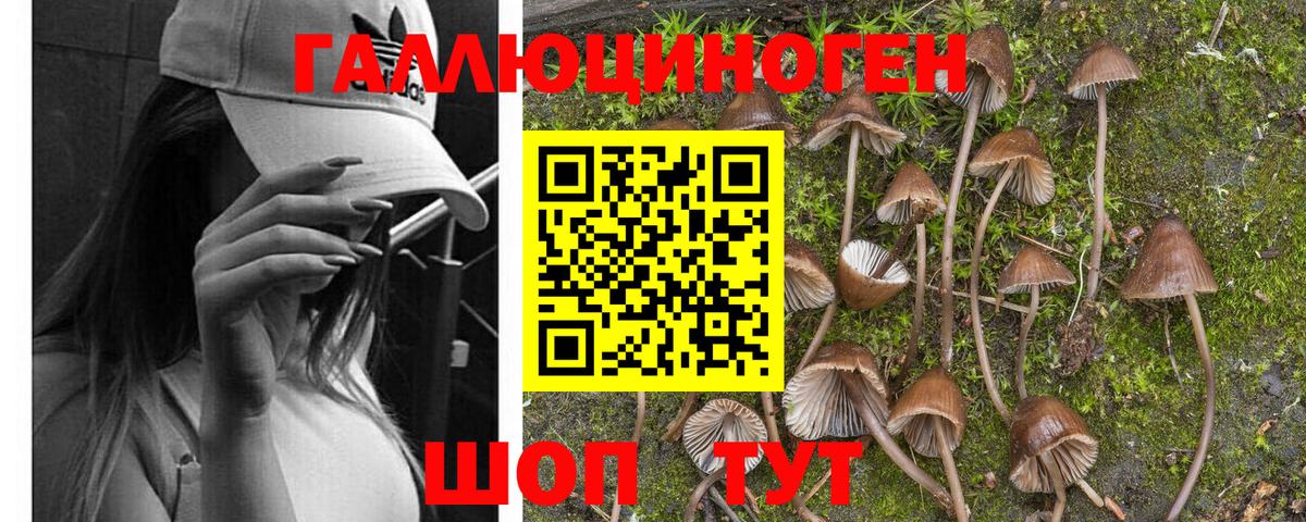 Галлюциногенные грибы мухоморы  купить наркоту  Вход с VPN  Похвистнево  Галлюциногенные грибы Psilocybe 